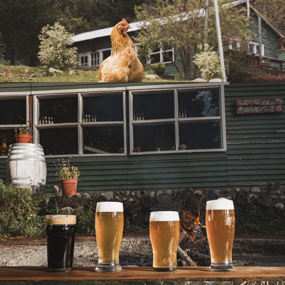 Ruta Cervecera Bariloche