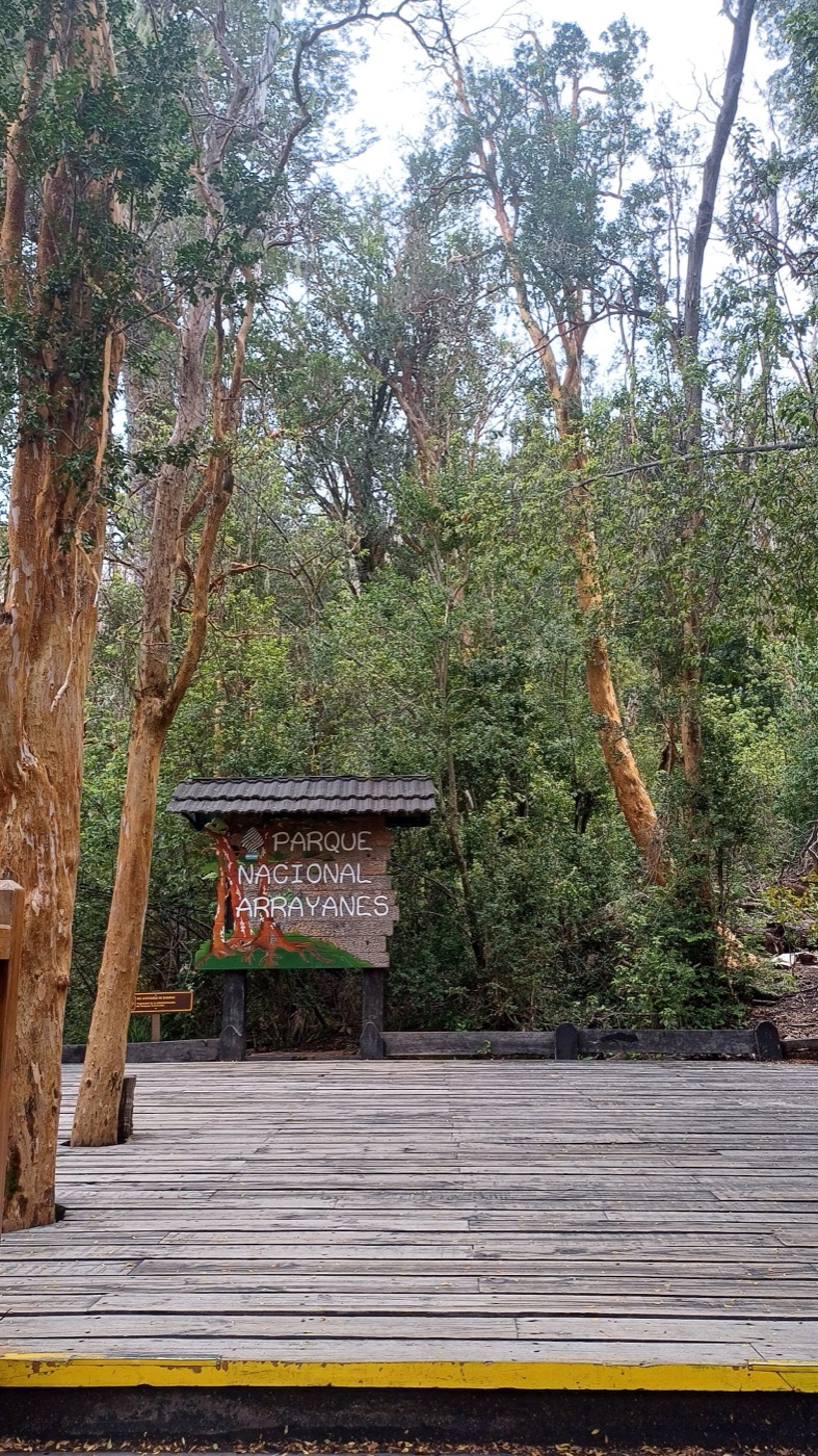 Sendero entre arrayanes