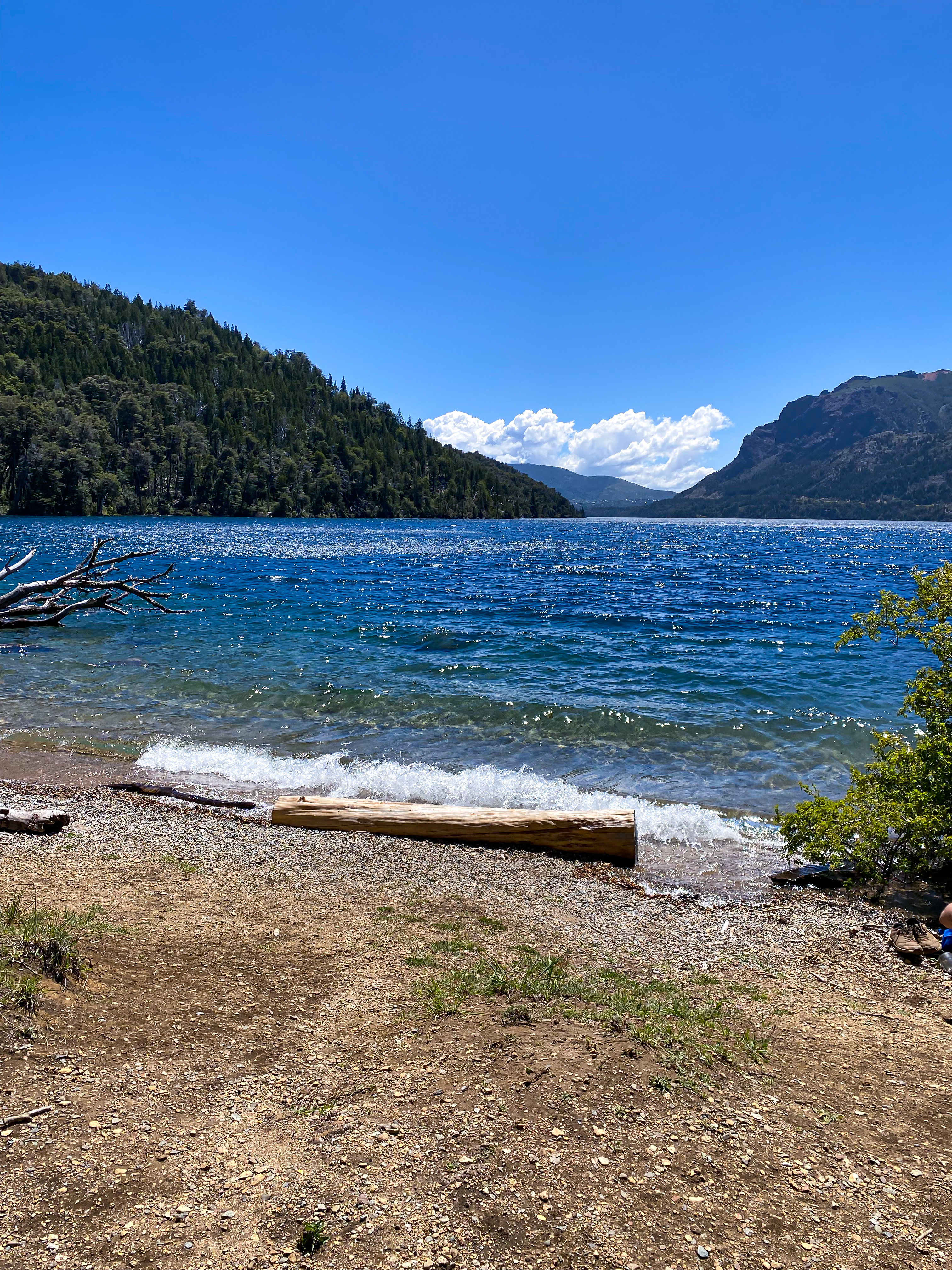Paisaje de verano en la Patagonia